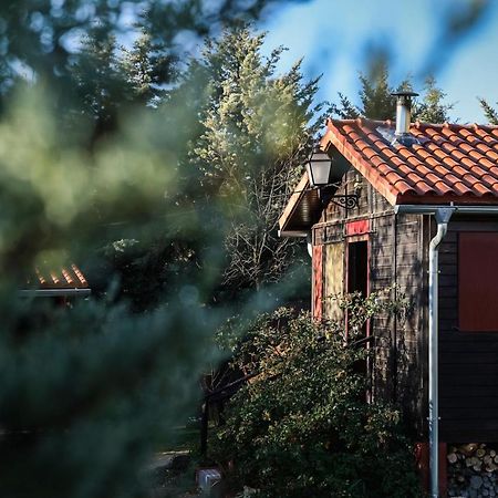 Casa Rural La Canadiense Log Cabin Guest House Buenache de la Sierra Exterior photo